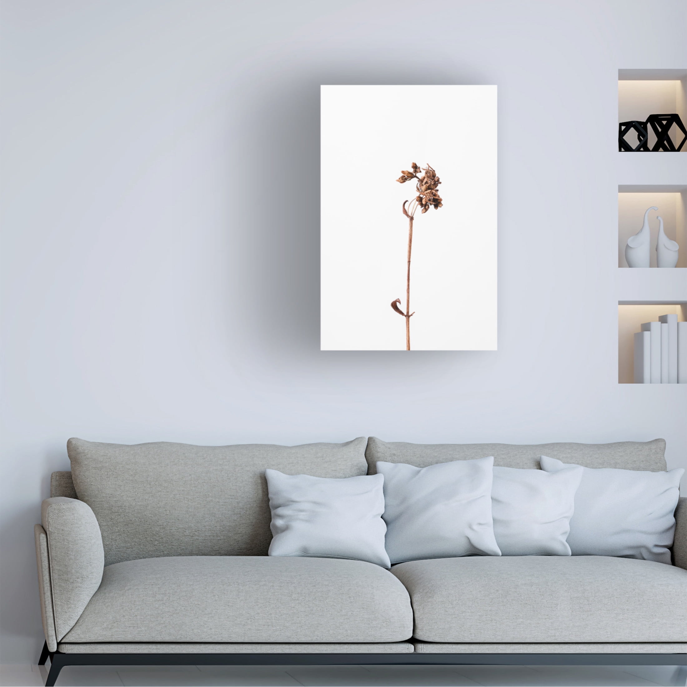 Trademark Fine Art Pictufy Studio Dried Brown Plant 2 Canvas Wall Art