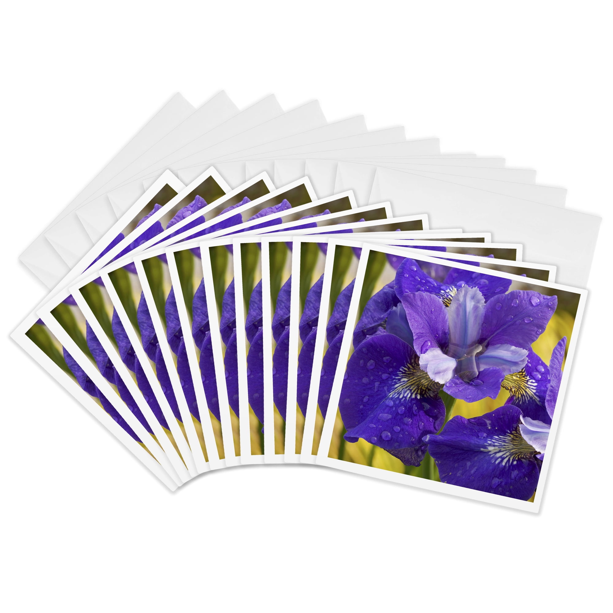 3drose Iris Flowers in Garden - Na01 Bja0151 - Jaynes Gallery 12 Greeting Cards with Envelopes