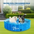 thumbnail image 2 of All For Paws Chill-Out 63” Foldable Dog Swimming Pool with Water Drainage Hole, Collapsible Outdoor Wading Pool for Dogs & Kids, Outdoor Pet Bath Tub, 2 of 8