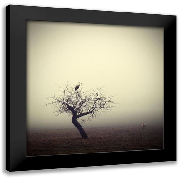 Droste, Holger 12x12 Black Modern Framed Museum Art Print Titled - Meeting in the morning