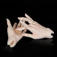 thumbnail image 2 of Accesorio para Muñeca articulaciones Hugo Muñecas manos juntas, 2 of 10