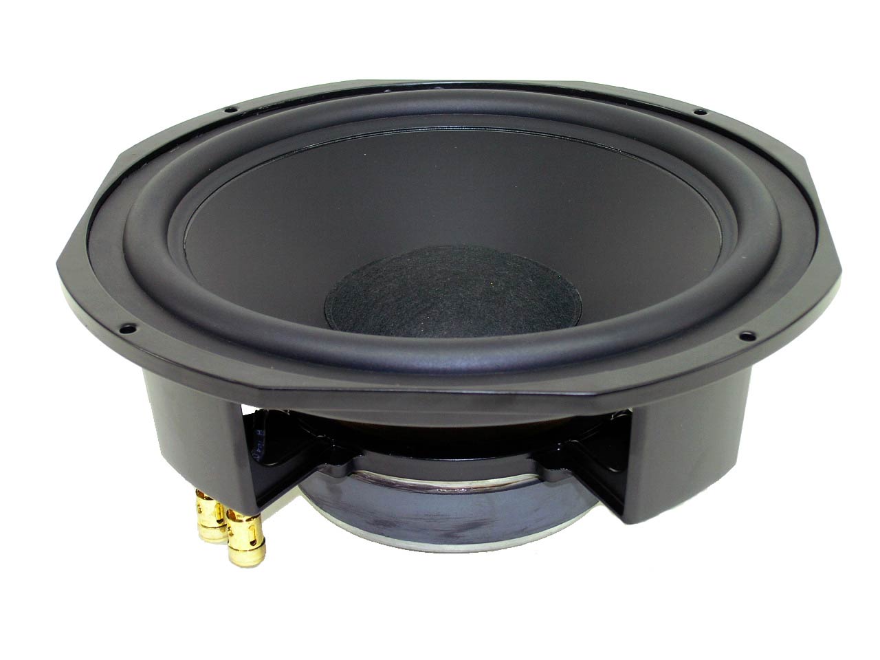 10 woofer speaker