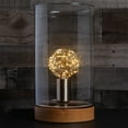 thumbnail image 6 of LEDimagine G80 Fairy Light Bulb, 50 Warm White LED Diodes Inside, Clear Glass Finish, E26 Base, 6 of 6