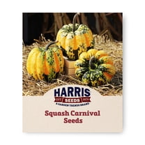 Harris Seeds Squash Carnival F1 Plant Seed, Hybrid Acorn Squash with ...