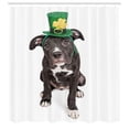 thumbnail image 2 of Ambesonne Dog Lover Shower Curtain, Funny Irish Puppy Picture, 69"Wx75"L, Dark Grey Green and Mustard, 2 of 4