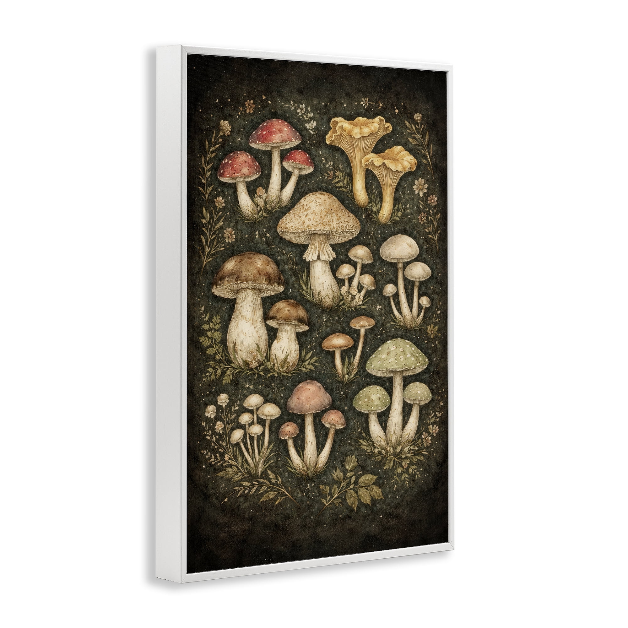Stupell Industries Organic Sprouting Mushrooms White Framed Giclee Art, design by Tom Crehan