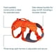 thumbnail image 4 of Arnés para perros RUFFWEAR Web Master Blaze Orange para perros medianos, 4 of 8