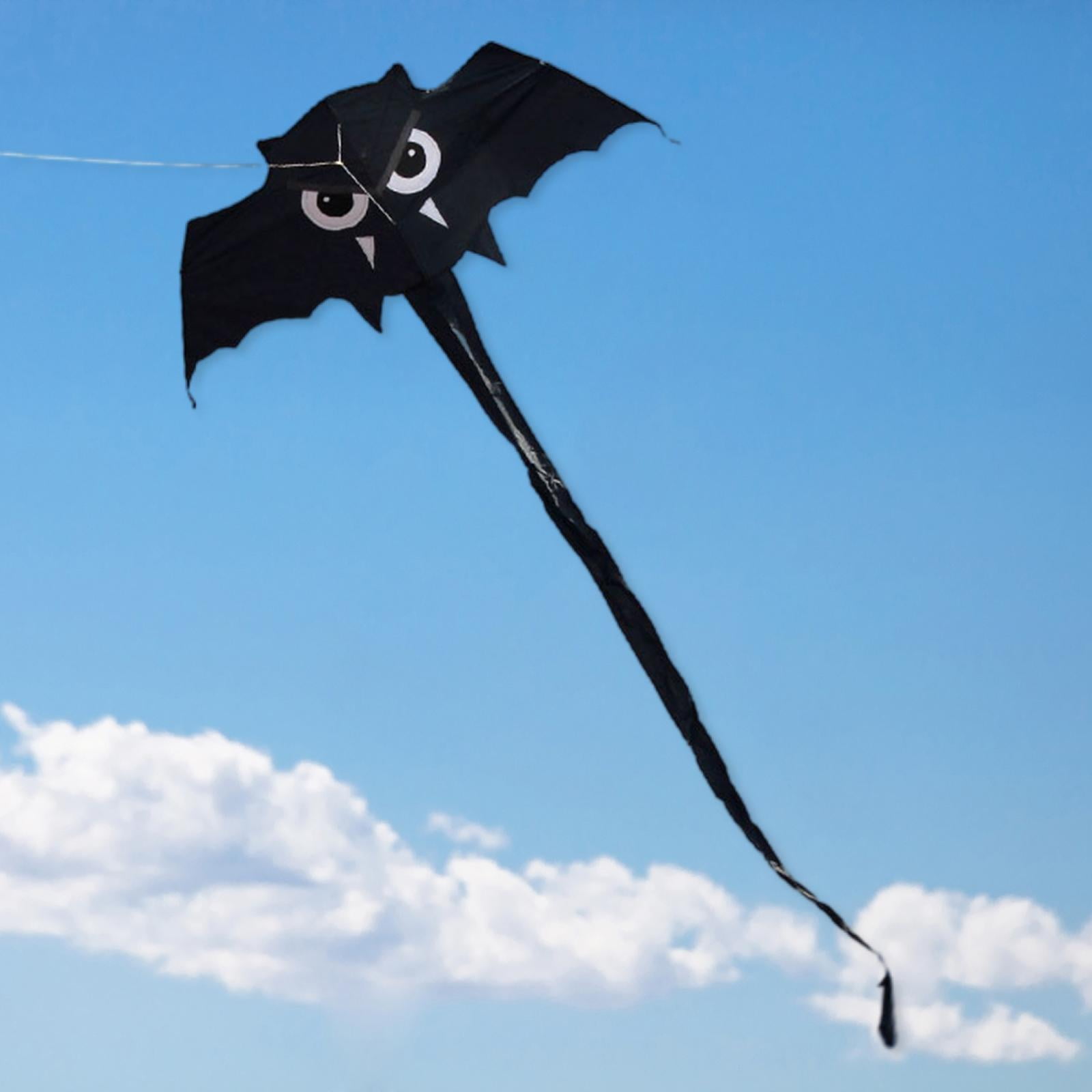 QccHieUs Vivid Flying Line Kite Long Tail Animal Toys Fun Large 59x22inch Sports Game Games for Park Adults Children Beginners Holiday Black