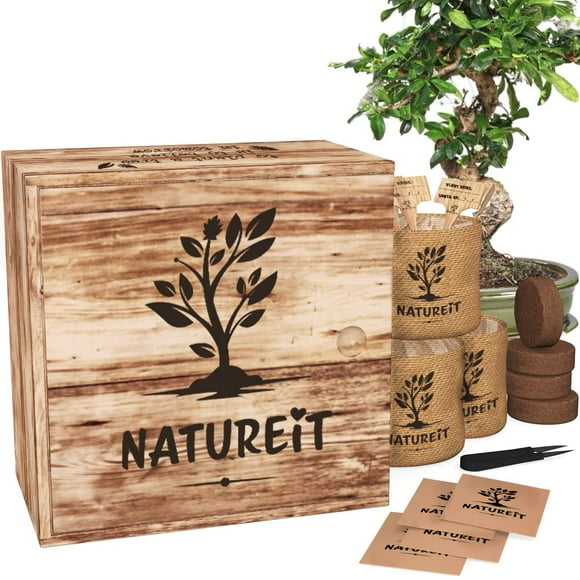 Kit de Démarrage de Graines de Bonsaï - Tout Ce Dont Vous Avez Besoin pour Faire Pousser 4 Bonsaïs à Partir de Graines. Kit de Culture Tout-en-un Intérieur/extérieur DIY pour Débutants pour Hommes et Femmes. Meilleure Idée Cadeau pour Maman et