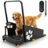 Image thumbnail_image