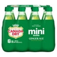 thumbnail image 1 of Canada Dry® Ginger Ale 300 mL Bottles, 8 Pack, 1 of 4