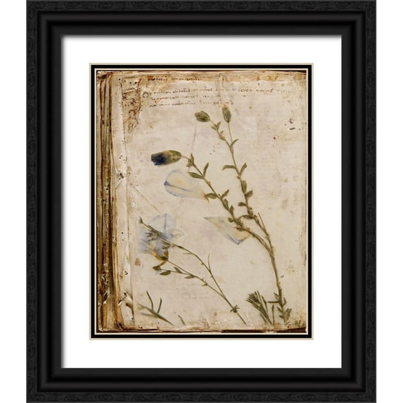 Murdock, Ramona 20x24 Black Ornate Wood Framed with Double Matting Museum Art Print Titled - Pressed Flowers
