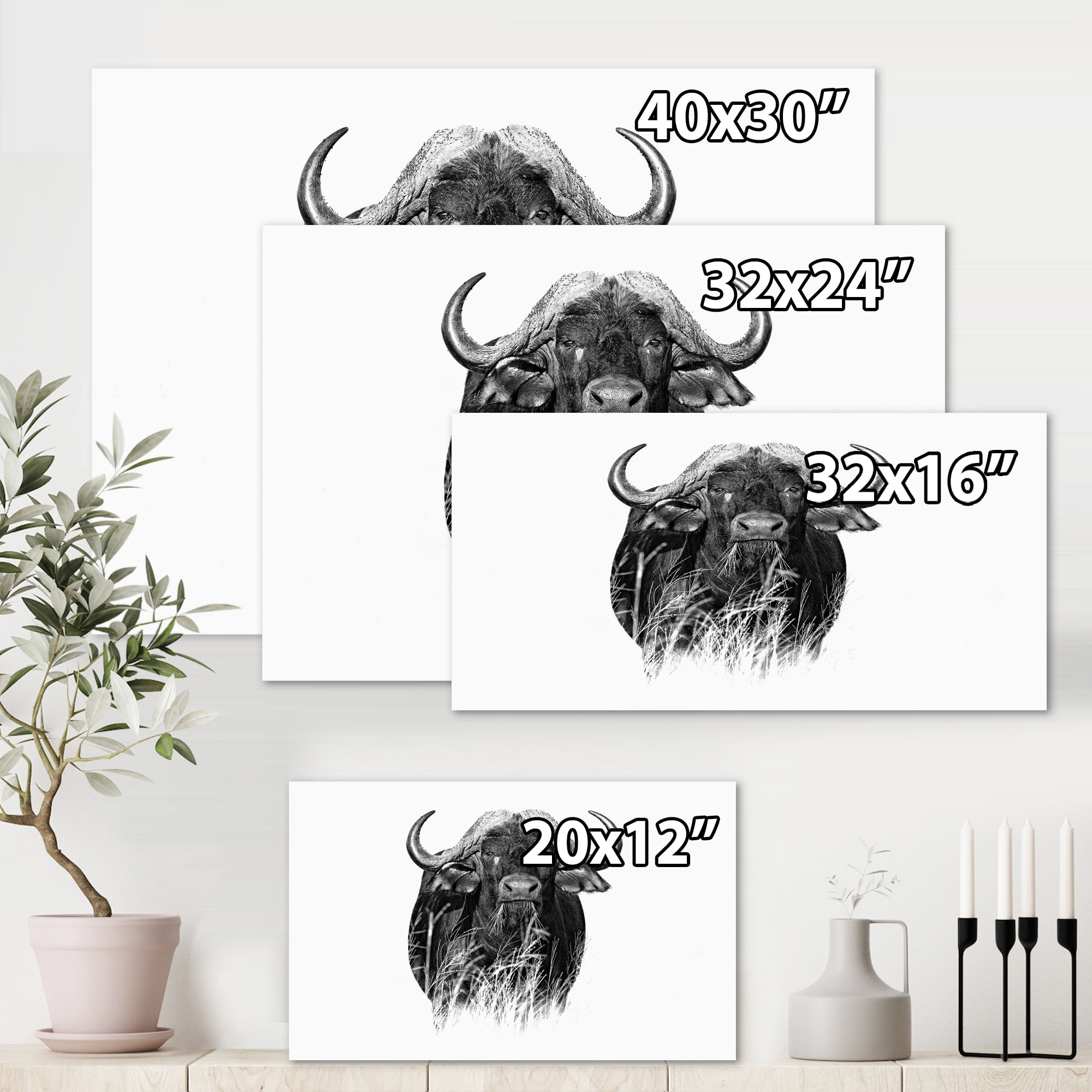Designart ' Black and White Portrait Of Buffalo IV ' Farmhouse Canvas Wall Art Print