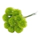 thumbnail image 2 of Ramos de plástico Taraxacum Billuyoard 10 piezas decoración verde, 2 of 6