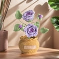 thumbnail image 4 of CARRFA Hand-Woven Crochet Knitted Potted Plants, Creative Mini Simulation Crocheted Potted for Home DIY Desktop Decorations Gifts for Friends, Lovers, Classmates, 4 of 9