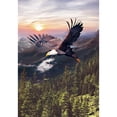 thumbnail image 2 of America Forever North American Bald Eagle Garden Flag 12.5 x 18 inches Flying Majestic Bird Countryside Sunset Rustic Double Sided Summer Seasonal Yard Outdoor Decorative Soaring Bird Garden Flag, 2 of 5
