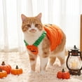 thumbnail image 2 of Cute Pumpkin Costume for Small Pets, Lightweight Pet Halloween Outfit, Funny Fall Apparel for Pets Party Cosplay Photoshoot (Medium), 2 of 6
