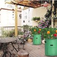 thumbnail image 2 of Paquete de 2 bolsas de cultivo de patatas Bolsa de plantación de jardín con ventana Contenedores de cultivo de patatas de fieltro con asas para verduras Tomate Zanahoria Cebolla Frutas, 2 of 4