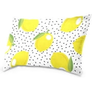Wellsay Lemons and Seeds Velvet Oblong Lumbar Plush Throw Pillow Cover/Shams Cushion Case - 20x36in - Decorative Invisible Zipper Design for Couch Sofa Pillowcase Only