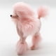 thumbnail image 3 of Estatua de caniche kusrkot decoración moderna Cachorro rosado, 3 of 8