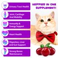 thumbnail image 4 of Oimmal Cat Multivitamin Liquid- Supports Immune Health, Skin, Coat, Heart Health for Cats, Cat Supplements & Vitamins - Chicken Flavor - 4 fl oz, 4 of 11