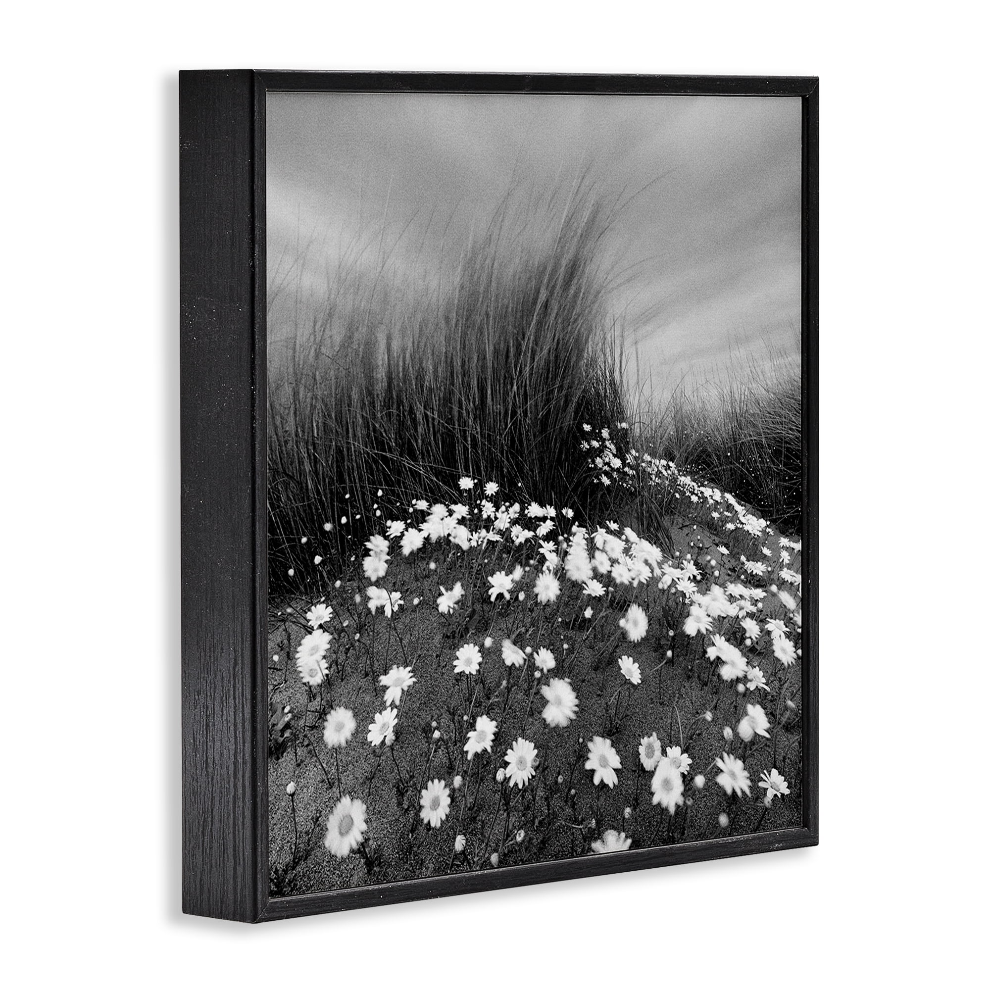 Stupell Industries Sand Daisies on Hill Landscape Photography Black Framed Art Print Wall Art, 12 x 12