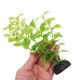 thumbnail image 4 of 11 piezas de plantas de acuario, plantas de pecera, decoraciones realistas para peceras, plantas de decoración para acuarios., 4 of 5