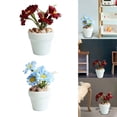 thumbnail image 1 of Casa De Muñecas A Escala 1:6, Accesorios De Flores De Margarita En Maceta, Mini Adornos Blancos+Casa De Muñecas Escena De Flores En Maceta Adornos De Dormitorio Suministros De Paisaje Blanco Macarena  none, 1 of 8