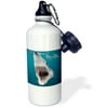 3dRose Shortfin Mako Shark with open mouth, Isurus oxyrinchus, San Diego, California, USA, Eastern Pacific, Sports Water Bottle, 21oz