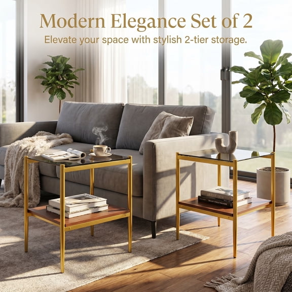 Set of 2 Modern Rectangle End Tables, Gray Tempered Glass Top Side Tables with Gold Metal Frame and MDF Storage Shelf for Living Room, Bedroom, Small Spaces
