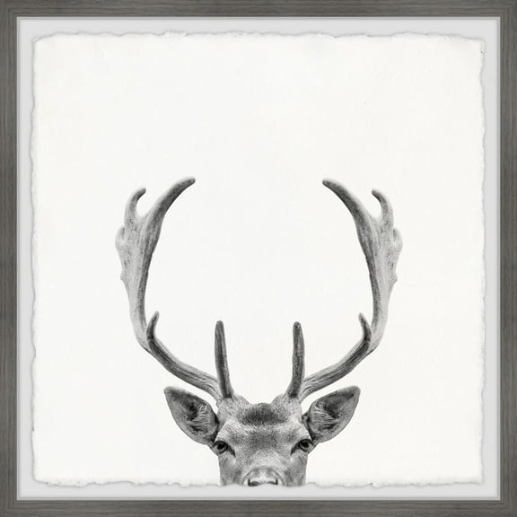 Marmont Hill Giant Antlers Framed Wall Art, 1.50" x 12.00"