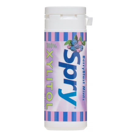 Spry Xylitol Mints, Natural Berry, 45 Count