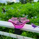thumbnail image 5 of Fiudx Artículos en oferta con ofertas flash 2024 Nuevo baño para pájaros en miniatura para jardín al aire libre Nuevo cuenco para baño para pájaros Comedero para pájaros, 5 of 6