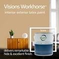 Visions Workhorse Interior/ Exterior Paint 1 Gallon Latex Paint