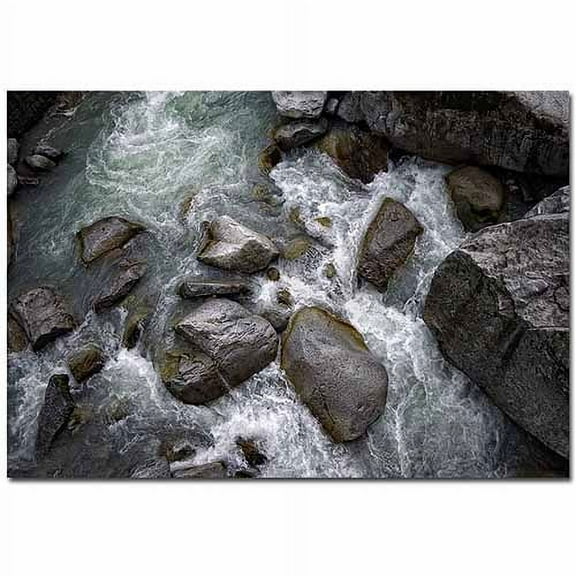 Trademark Art "Visage" Canvas Art by Philippe Sainte-Laudy