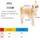 thumbnail image 2 of Abrigo impermeable para perros, chaqueta cálida de invierno, ropa para mascotas a prueba de viento, chaqueta para perros pequeños y medianos con orificio para arnés, 2 of 5