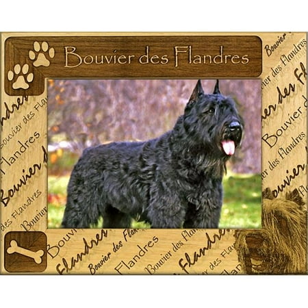Giftworks Plus DBA0190 Bouvier Des Flandres Alder Wood Frame, 4 x 6 In
