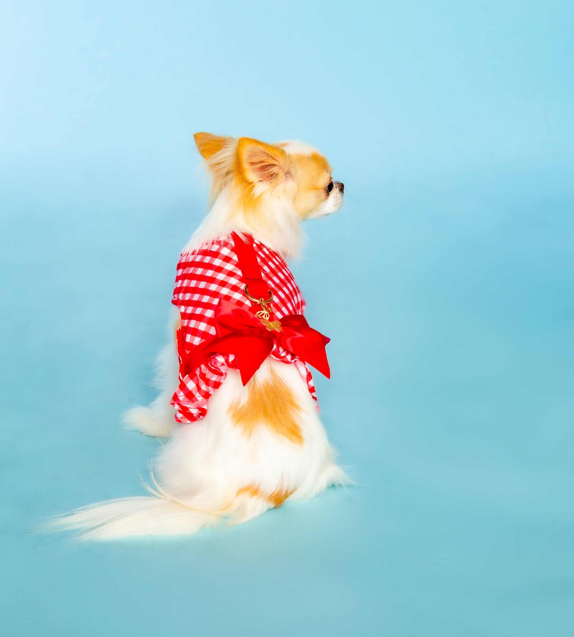Doggy Parton Dog Walking Harness, Gingham Dog Harness with Bow, Red, Medium