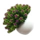 thumbnail image 5 of Planta artificial en maceta de plástico falso maceta de simulación de mesa Bonsai decoración del hogar Vogacara HA8763-00B, 5 of 6