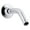 Polished Chrome, variant on Kohler 7395-BN 5.375 in. Shower Arm & Flange - Vibrant Brushed Nickel