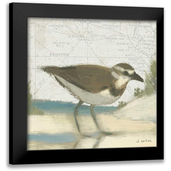 Wiens, James 12x12 Black Modern Framed Museum Art Print Titled - Beach Bird III