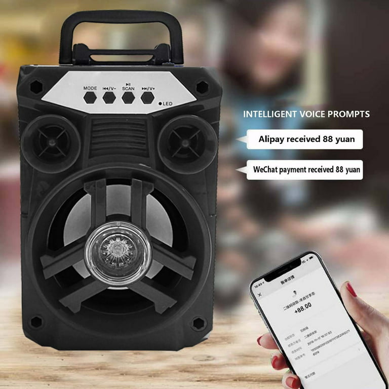 Portable Big Bluetooth Speakers with Light, Wireless with Subwoofer, FM  Radio, LED Lights, EQ, Booming Bass, Bluetooth 4.2 Stereo Loud  Outdoor/Indoor