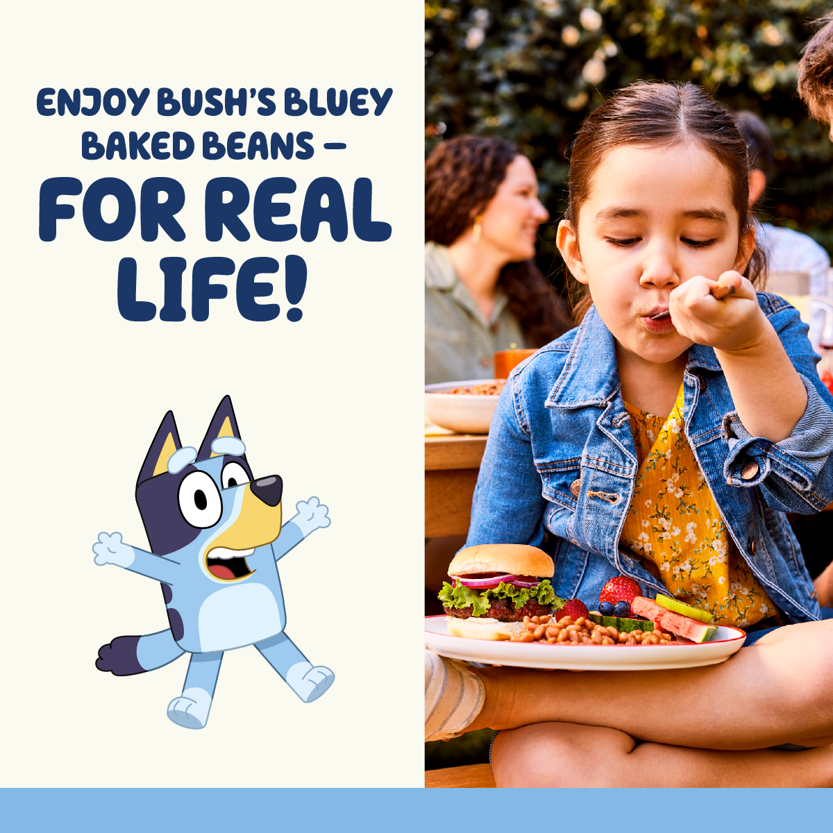 (12 pack) Bush's Bluey Baked Beans, Canned Beans, 15.8 oz Can
