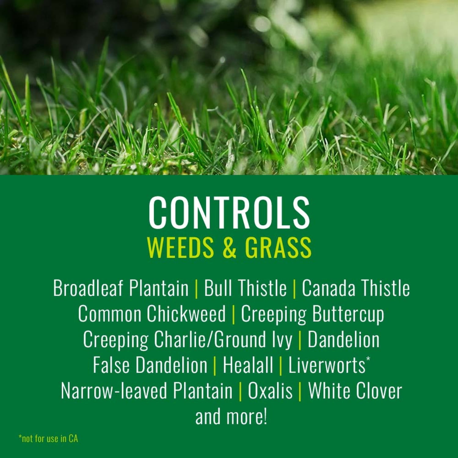 NATRIA Lawn Weed and Disease Control, Concentrate, 24 oz (2-Pack)