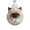 Furry Winter Cat Ornament-D-A3, variant on Furry Friends: Winter Cat Ornament Collection, 2D Acrylic Cute Plush-Look Holiday Cat Hanging Decoration Set, Charming Holiday Hanging Decoration, Decorations for Animal Lovers & Pet Owners D