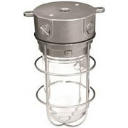 Ceiling Mount Vaporproof 100 Watt