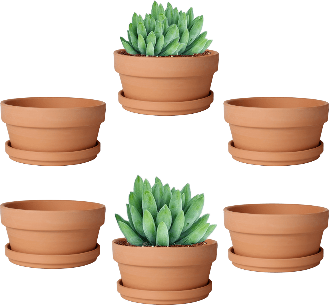 3.7 Inch Terracotta Shallow Succulent Pot - 6 Pack Terra Cotta Clay Pots with Saucer, Cacuts Terra-Cotta Indoor and Outdoor Planters with Drainage Hole