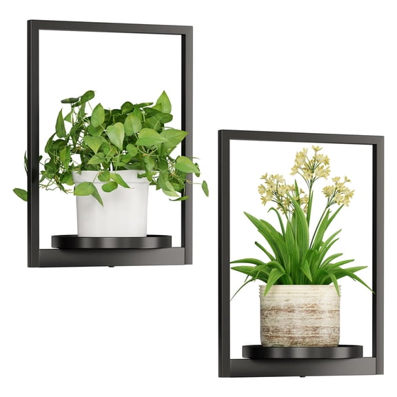 Wall Plant Holder, Wall Mounted Plant Holder for Indoor Plants, Metal Wall Planter Shelf