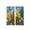 C, variant on Honmine 2D Printed Kitchen Curtain Short Panels 1 Pair, Washable Easy to Install Suitable for Bedroom Bathroom, Light Blocking Panel for Closet Door Storage Room