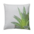 thumbnail image 2 of Ahgly Company Plants Leaves Indoor Throw Pillow, 18 inch by 18 inch, 2 of 6